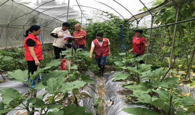 8 农技服务“轻骑兵”下乡开展农技推广服务.jpg